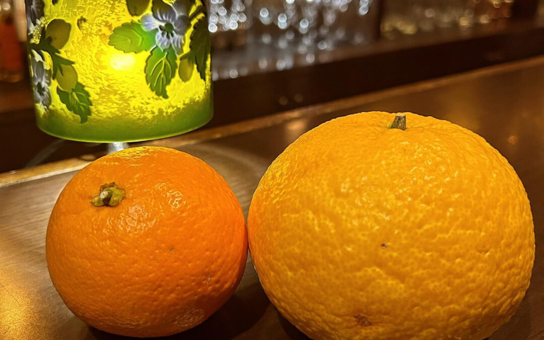 お客様から夏みかんを頂きました