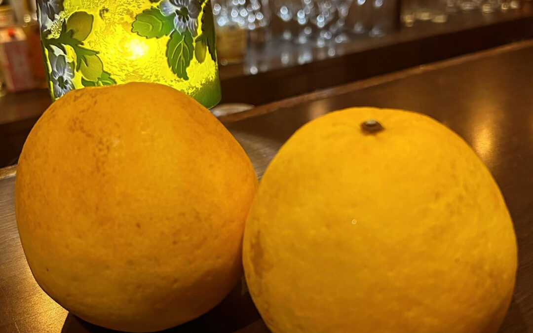 《宇和ゴールド》