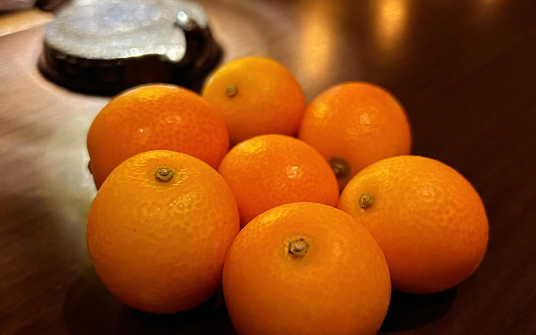 金柑もそろそろ終わりとなります