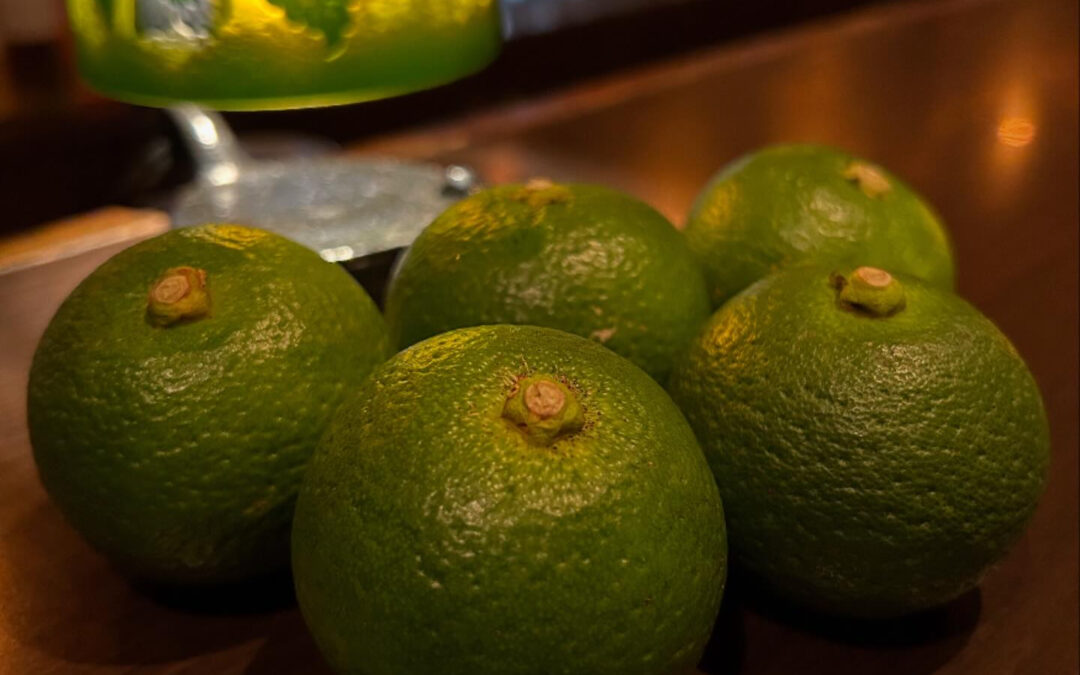 《すだち》、まもなく終了となります