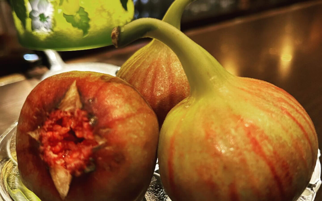 《イチジク》、今年もご好評頂いております