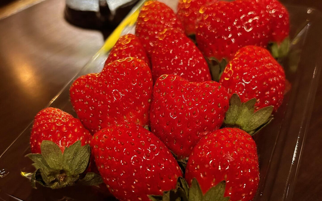 《苺》、甘さは今がピークでしょうか