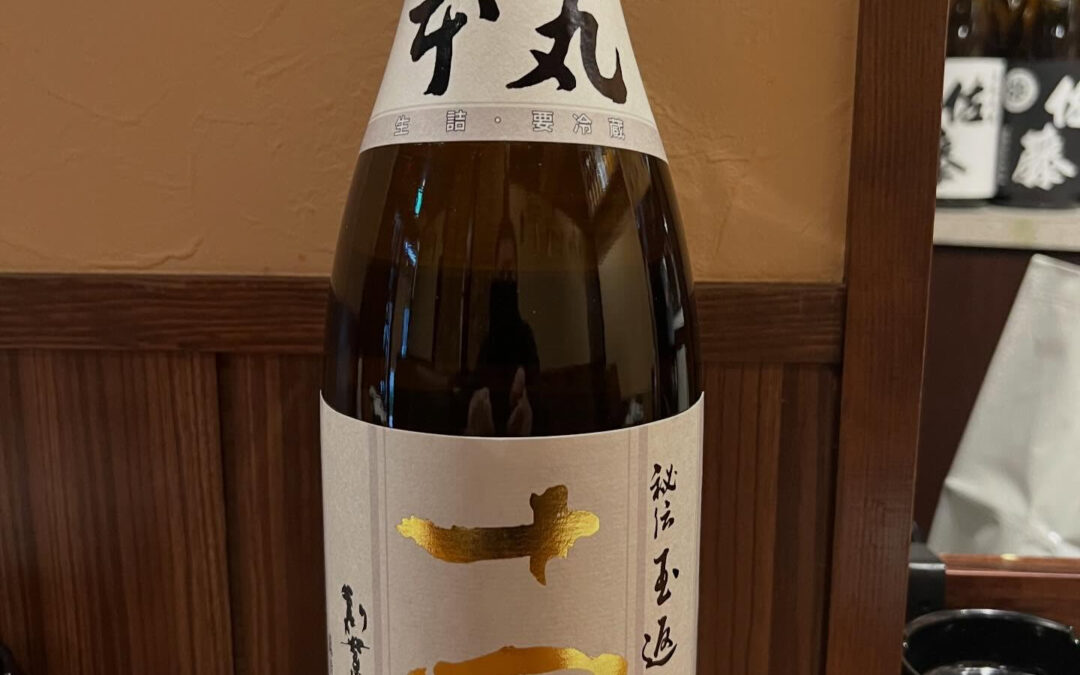 十四代　本丸入荷してます